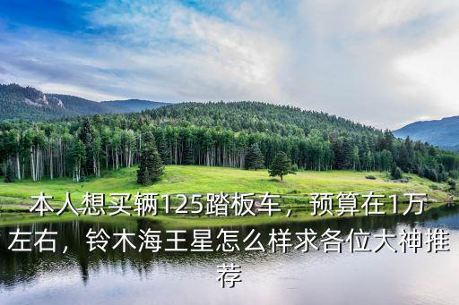 本人想買輛125踏板車，預算在1萬左右，鈴木海王星怎么樣求各位大神推薦