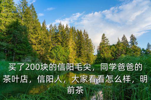 信陽毛尖茶葉店怎么經營,信陽茶葉怎么樣