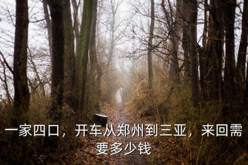 一家四口，開車從鄭州到三亞，來回需要多少錢