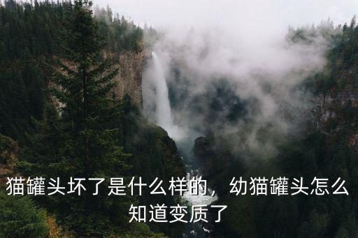 貓罐頭壞了是什么樣的，幼貓罐頭怎么知道變質(zhì)了