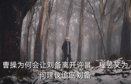 曹操為何會讓劉備離開許昌，程昱又為何建議追回劉備