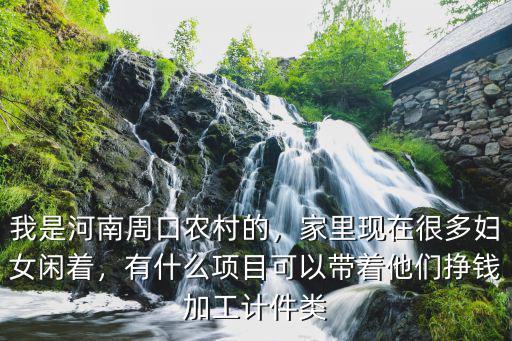 我是河南周口農村的，家里現在很多婦女閑著，有什么項目可以帶著他們掙錢加工計件類