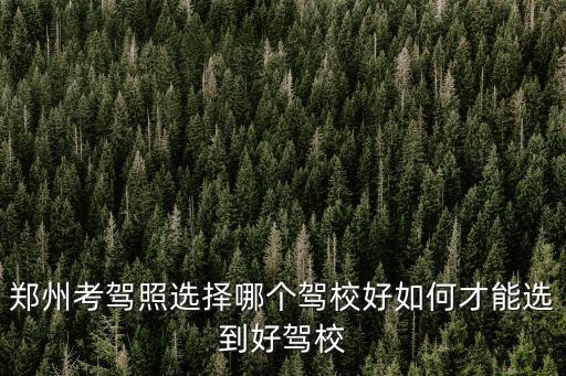 鄭州市金岱駕校怎么樣,鄭州中心駕校怎么樣