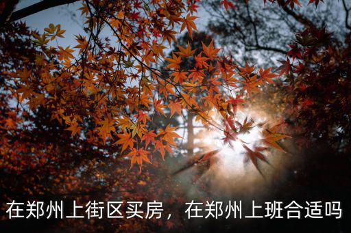 在鄭州上街區(qū)買(mǎi)房，在鄭州上班合適嗎