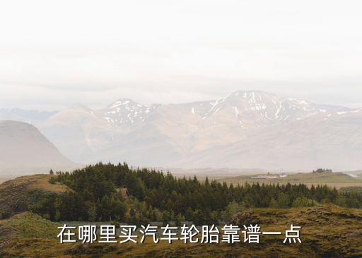在哪里買(mǎi)汽車(chē)輪胎靠譜一點(diǎn)
