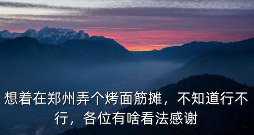 想著在鄭州弄個烤面筋攤，不知道行不行，各位有啥看法感謝