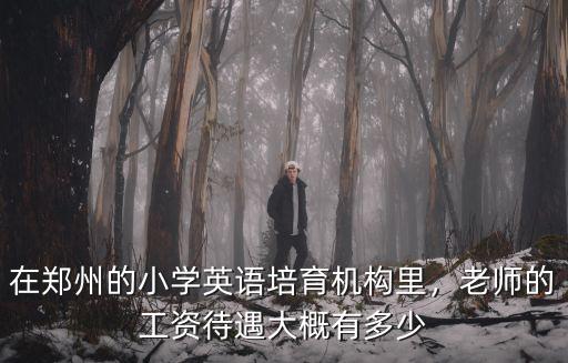 在鄭州的小學(xué)英語培育機構(gòu)里，老師的工資待遇大概有多少