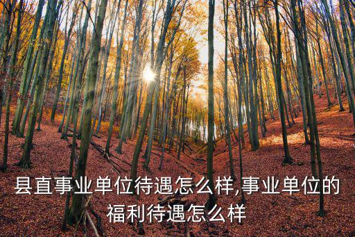 安陽縣直事業單位待遇怎么樣,事業單位的福利待遇怎么樣