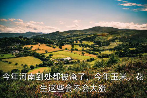 今年河南到處都被淹了，今年玉米，花生這些會不會大漲