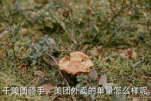 干美團(tuán)騎手，美團(tuán)外賣的單量怎么樣呢