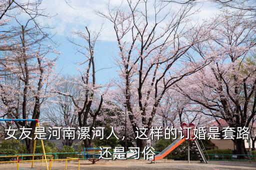 女友是河南漯河人，這樣的訂婚是套路還是習俗