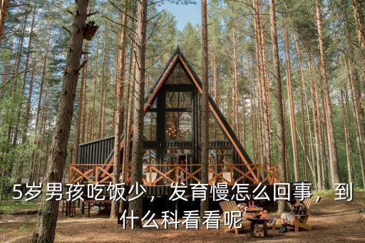 鄭州男孩發(fā)育慢怎么辦,男孩發(fā)育遲緩怎么辦