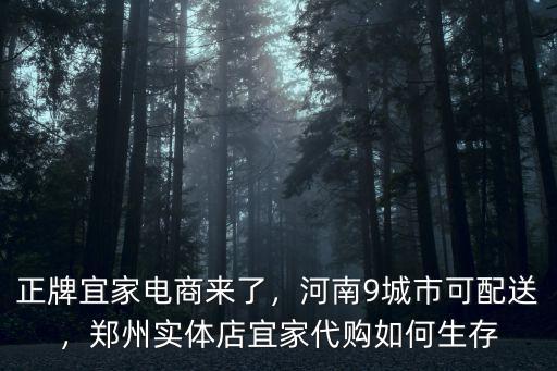 正牌宜家電商來了，河南9城市可配送，鄭州實(shí)體店宜家代購如何生存