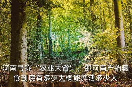 河南號稱“農(nóng)業(yè)大省”，那河南產(chǎn)的糧食到底有多少大概能養(yǎng)活多少人