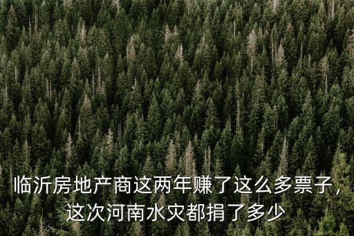 臨沂房地產商這兩年賺了這么多票子，這次河南水災都捐了多少