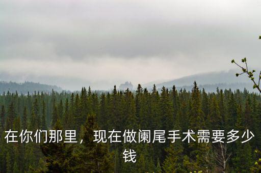 在你們那里，現(xiàn)在做闌尾手術(shù)需要多少錢