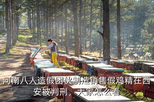 河南哪里造假的多,河南南陽的臥龍崗