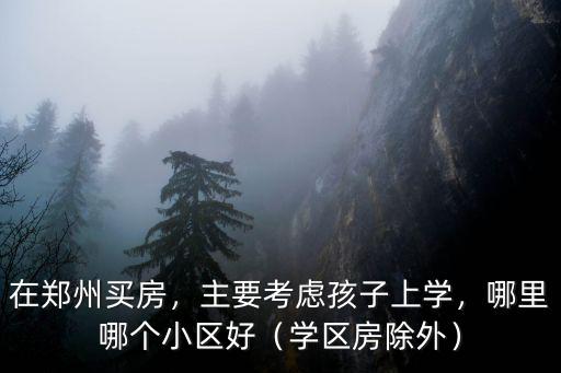 在鄭州買房，主要考慮孩子上學，哪里哪個小區好（學區房除外）