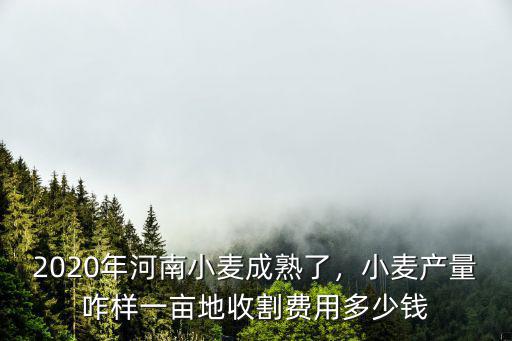 2020年河南小麥成熟了，小麥產量咋樣一畝地收割費用多少錢