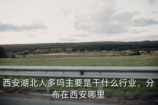 西安湖北人多嗎主要是干什么行業，分布在西安哪里