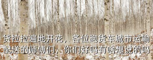 周口有多少個縣在使用貨拉拉,貨拉拉遍地開花