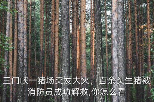 三門峽一豬場突發大火，百余頭生豬被消防員成功解救,你怎么看
