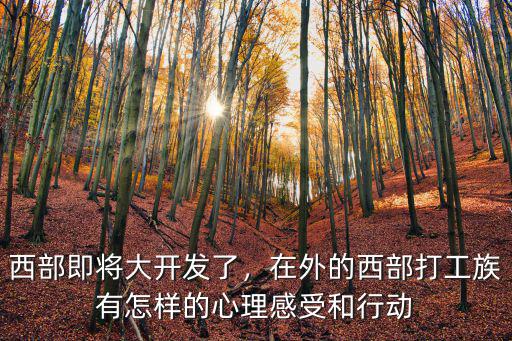 西部即將大開發了，在外的西部打工族有怎樣的心理感受和行動