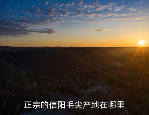 信陽毛尖茶在哪里最多,正宗的信陽毛尖產地在哪里