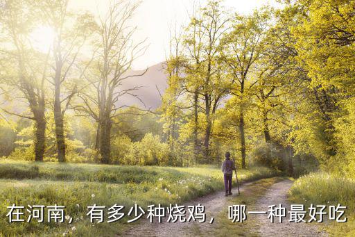 周口哪里有正宗關(guān)記燒雞,哪里的道口燒雞比較正宗