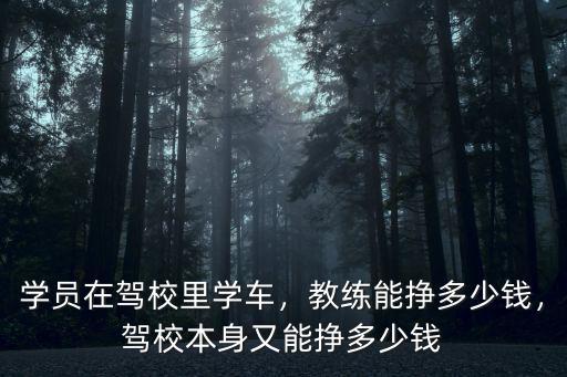 學員在駕校里學車，教練能掙多少錢，駕校本身又能掙多少錢