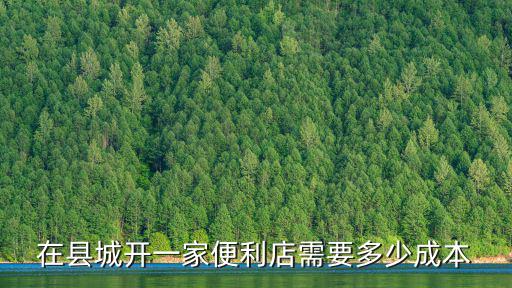 在縣城開一家便利店需要多少成本