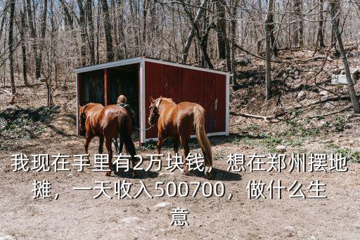 我現在手里有2萬塊錢，想在鄭州擺地攤，一天收入500700，做什么生意
