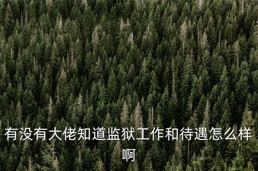 有沒有大佬知道監(jiān)獄工作和待遇怎么樣啊