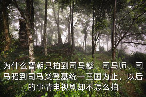 為什么晉朝只拍到司馬懿、司馬師、司馬昭到司馬炎登基統一三國為止，以后的事情電視劇卻不怎么拍