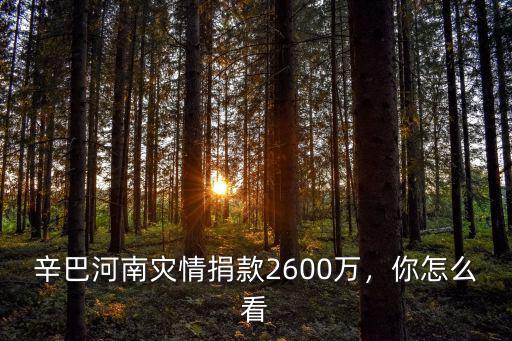 辛巴河南災情捐款2600萬，你怎么看