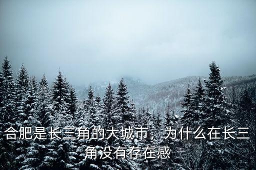 合肥是長三角的大城市，為什么在長三角沒有存在感