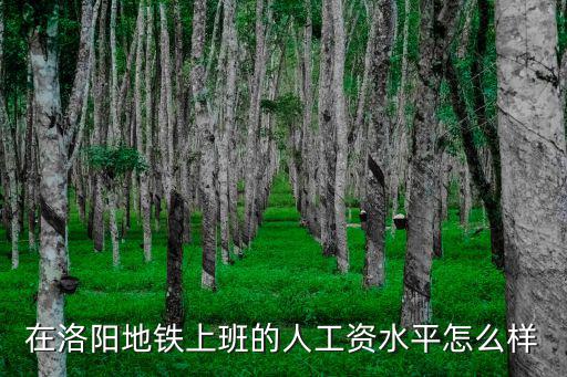 在洛陽地鐵上班的人工資水平怎么樣