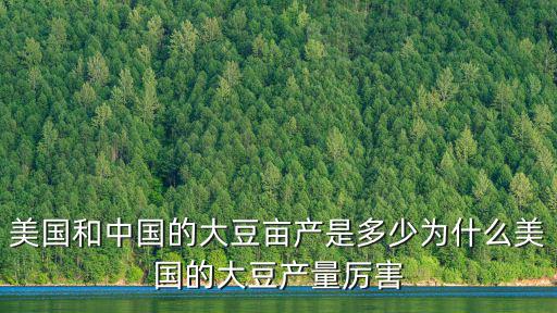 美國(guó)和中國(guó)的大豆畝產(chǎn)是多少為什么美國(guó)的大豆產(chǎn)量厲害