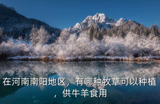 在河南南陽地區，有哪種牧草可以種植，供牛羊食用