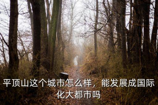 平頂山這個城市怎么樣，能發展成國際化大都市嗎