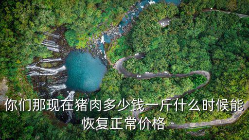 你們那現在豬肉多少錢一斤什么時候能恢復正常價格