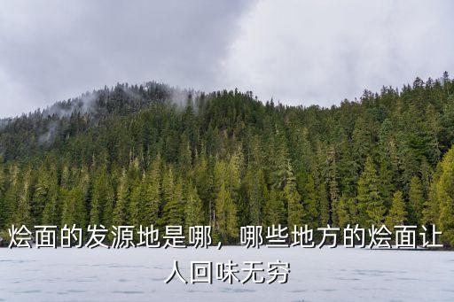 新鄉(xiāng)哪里原陽燴面地道,新鄉(xiāng)哪一家的燴面好
