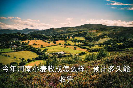 今年河南小麥收成怎么樣，預計多久能收完