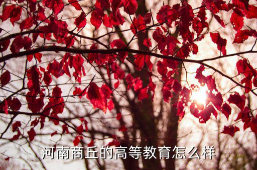 河南商丘的高等教育怎么樣