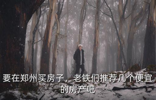 要在鄭州買房子，老鐵們推薦幾個(gè)便宜的房產(chǎn)吧
