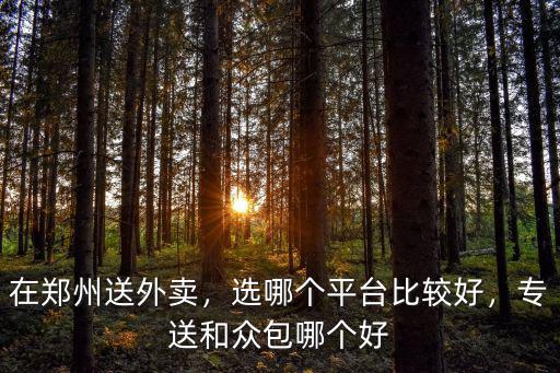 在鄭州送外賣，選哪個平臺比較好，專送和眾包哪個好