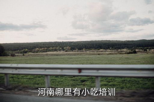 河南哪里有小吃培訓