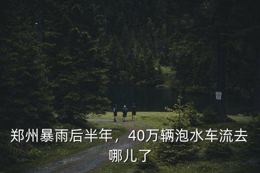 鄭州暴雨后半年，40萬輛泡水車流去哪兒了