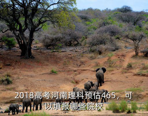 2018高考河南理科預估465，可以填報哪些院校