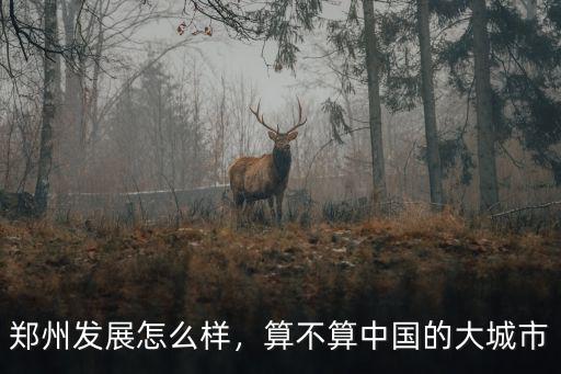 鄭州發展怎么樣，算不算中國的大城市